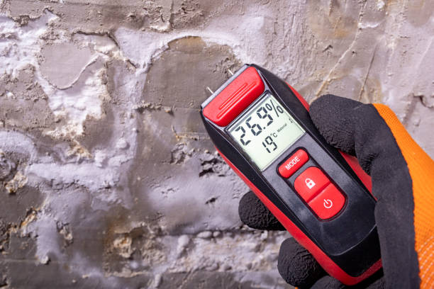 Best Commercial Mold Removal  in Atlantic Beach, NC